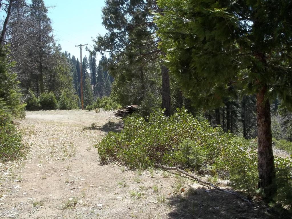 White Chief Mountain Lodge Fish Camp Exterior photo